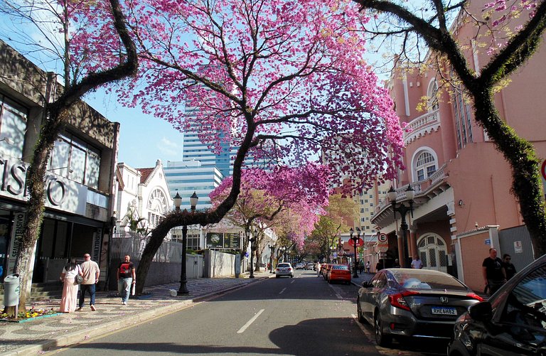 Flat in Downtown / Batel / Street 24 horas - 240